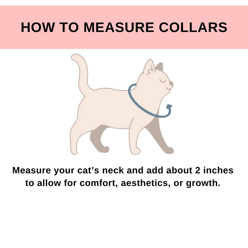 May include: An instructional graphic titled HOW TO MEASURE COLLARS featuring a light beige cat illustration with a dark blue circular arrow around its neck. Text below reads: Measure your cat's neck and add about 2 inches to allow for comfort.