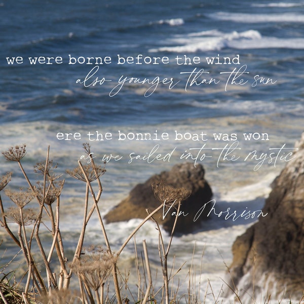 Van Morrison Etsy