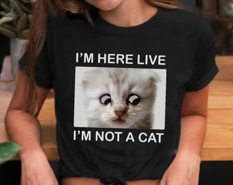 Cat Meme Etsy