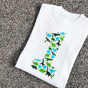 Birthday Dinosaur T-Shirt: Themed Party Top or Vest