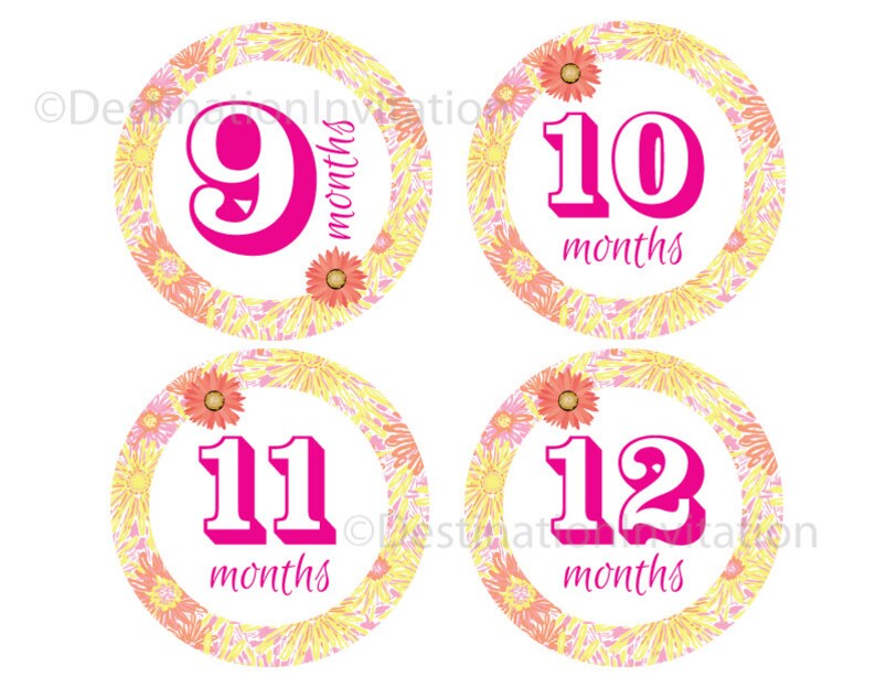 12 Month Baby Stickers INSTANT DOWNLOAD Printable Monthly Etsy 12-month-baby-stickers-instant-download-printable-monthly-etsy