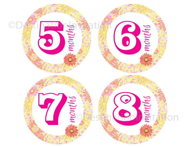 12 Month Baby Stickers INSTANT DOWNLOAD Printable Monthly Etsy 12-month-baby-stickers-instant-download-printable-monthly-etsy