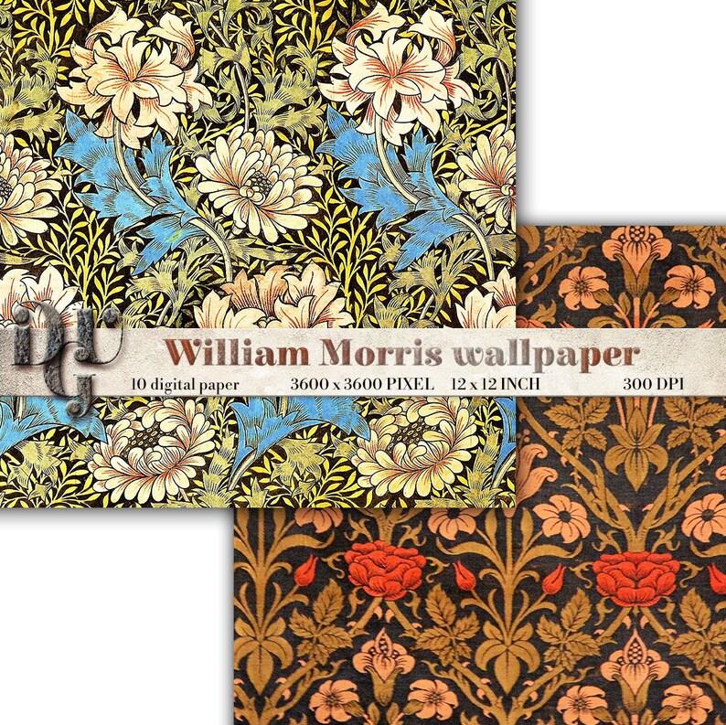 Cybele gontar picture