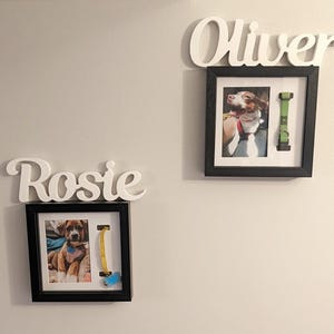 Custom Name Sign from 4&quot; to 8&quot; tall - Custom Baby Name, Dog Name Plaque, Pet Name Decor, Pet Name Sign,Dog Name Sign, Personalized wood word