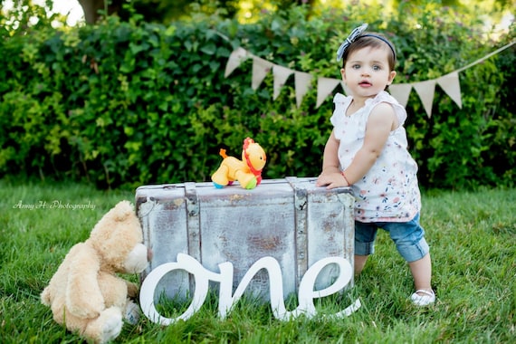 One Sign Photo Prop for First Birthday Photo Shoot for Babies - Wooden  Number Sign Photographer, Number Sign
