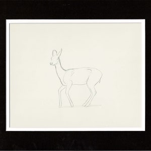 Walt Disney Rough Production Animation Cel Drawing or Study of a Deer 39m
