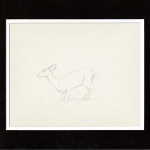 Walt Disney Rough Production Animation Cel Drawing or Study of a Deer 33m