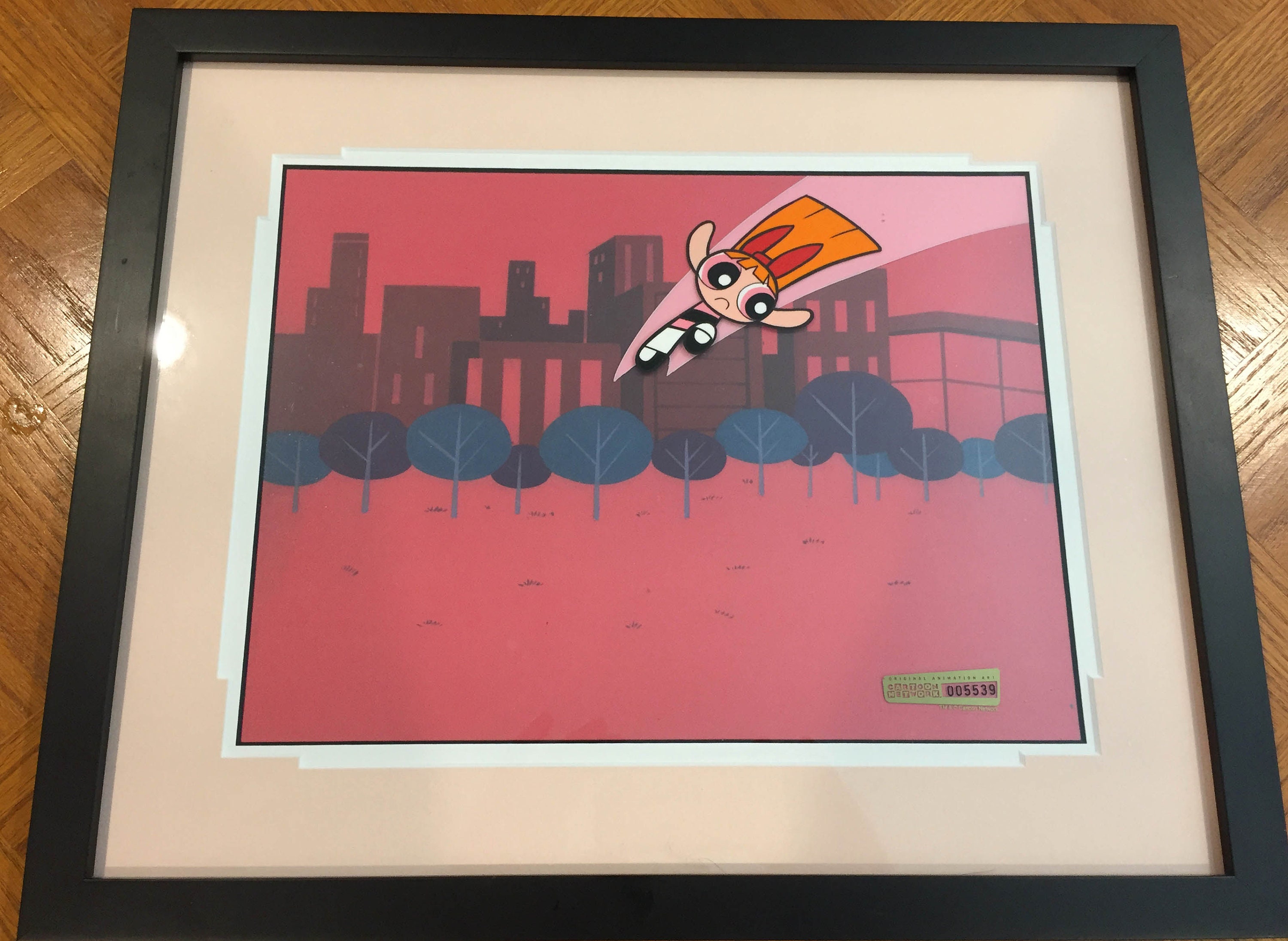 The Powerpuff Girls Blossom Framed Production Cel Cartoon Etsy
