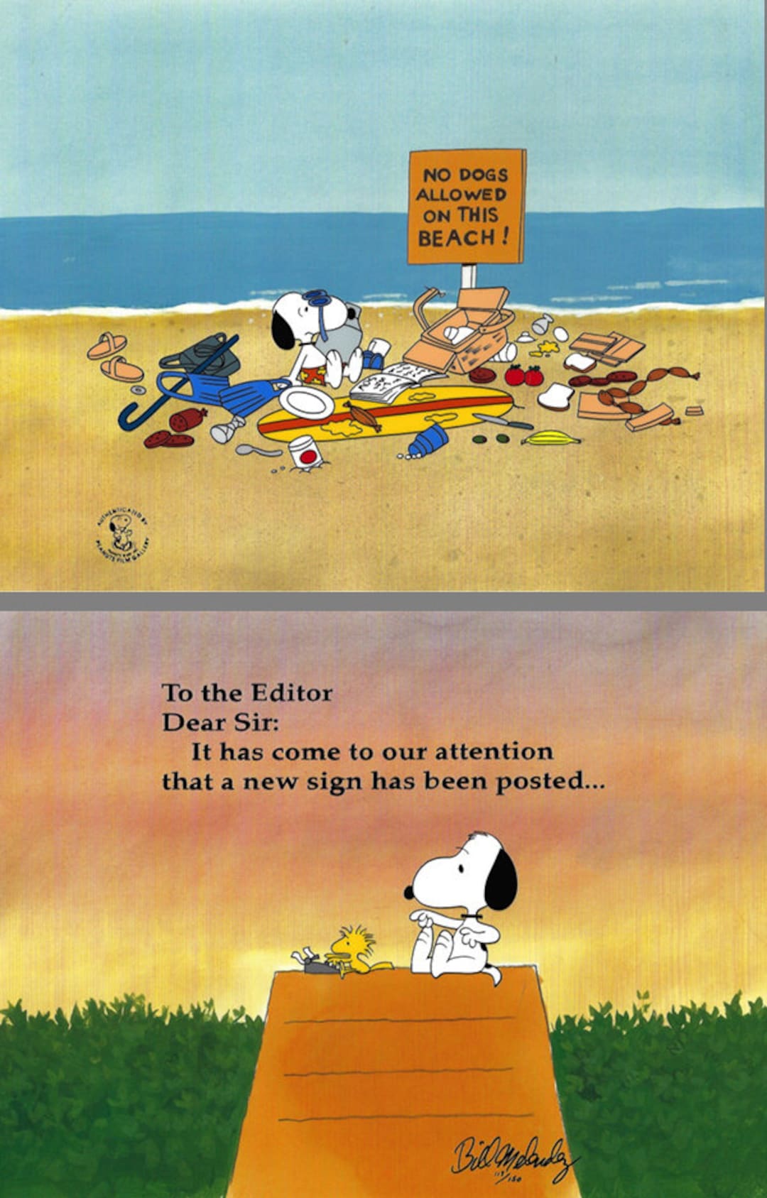 SNOOPY様☆ご確認ページ☆ $_57.JPG?set_id=880000500F