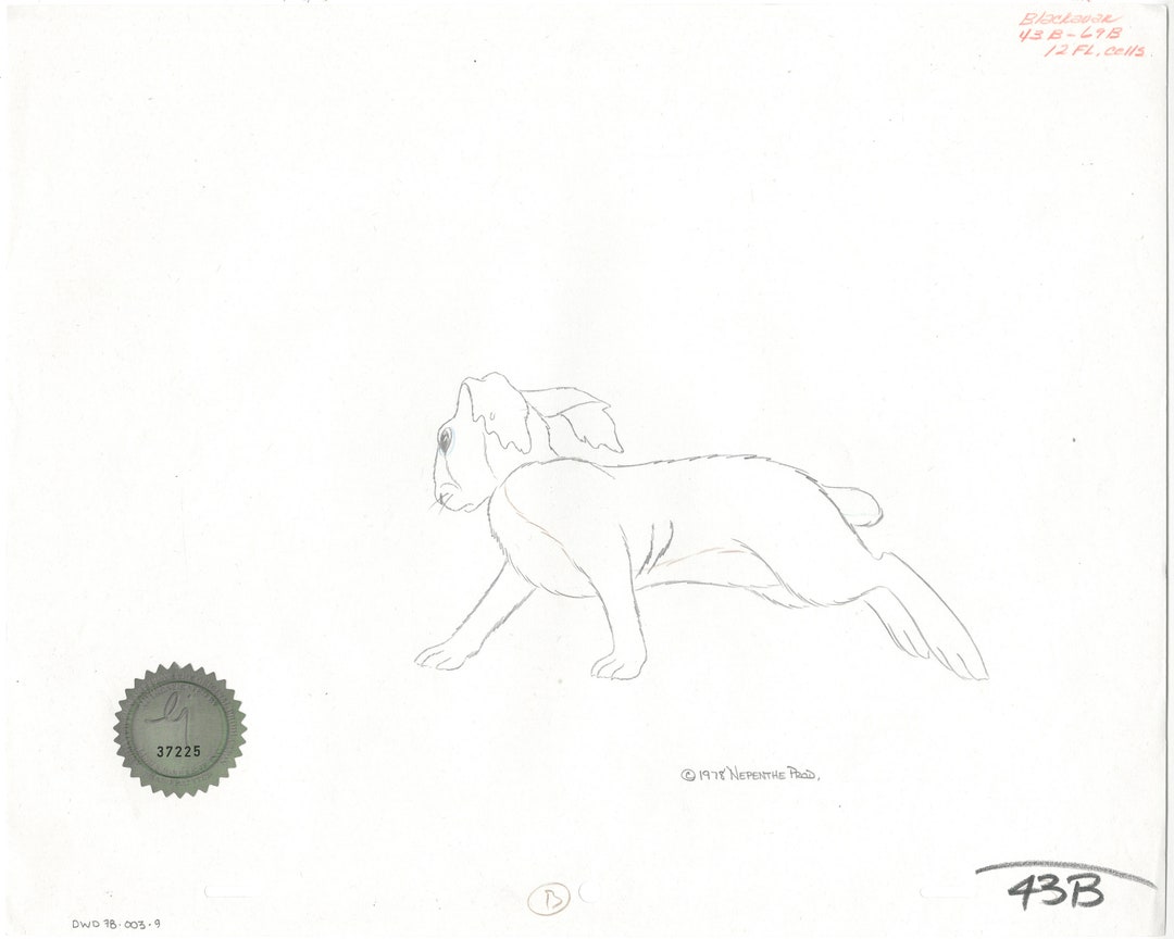 Watership Down 1978 Blackavar Production Animation Cel Drawing With ...