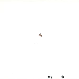 May include: A white background with a small brown bat in the center of the image.