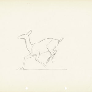 Walt Disney Rough Production Animation Cel Drawing or Study of a Deer ...