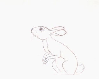 Watership Down 1978 Production Animation Cel Drawing with Linda Jones Enterprise Certificate of Authenticity 022-5