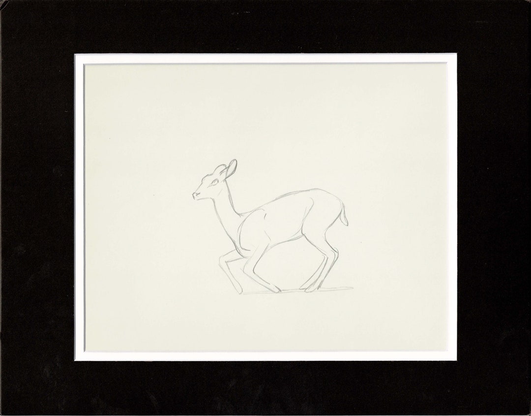 Walt Disney Rough Production Animation Cel Drawing or Study of a Deer ...