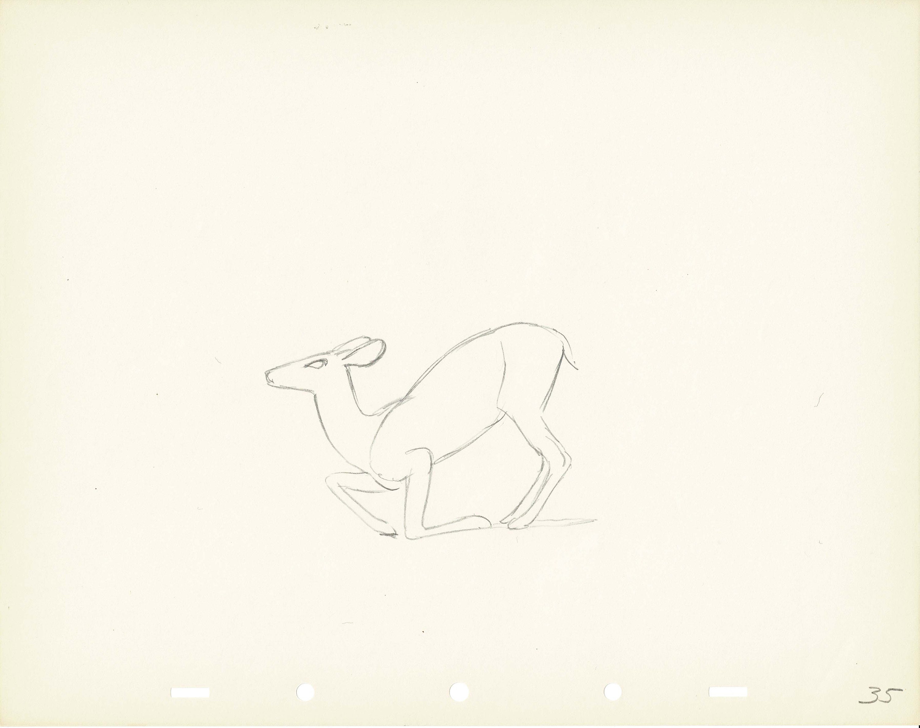 Walt Disney Rough Production Animation Cel Drawing or Study of a Deer ...