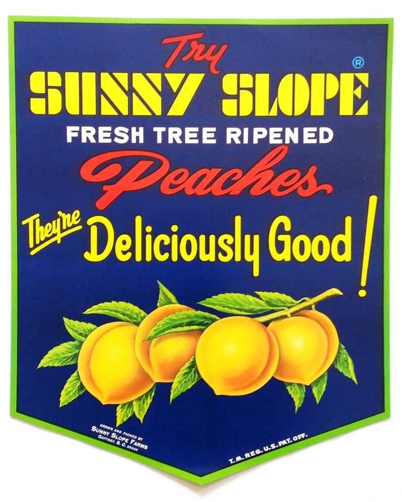 Sunny Slope Fresh Tree Ripened Peaches 1960's Vintage Advertising Poster Gaffney, S.C. 1 image 1