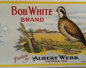 Unused 1930's Bob White Brand Pumpkin Can Label From Albert  Webb Co. Vienna, Maryland