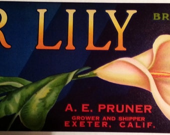 Exeter Lily Brand Vintage Emperor Grapes Crate Label A. E. Pruner Exeter, California