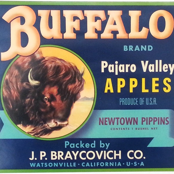 Buffalo Brand Vintage Apples Crate Label J. P. Braycovich Co. Watsonville, California