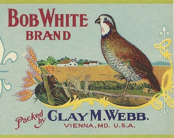 Unused 1930's Bob White Brand Cut Green Beans Can Label From Clay M. Webb Vienna, Maryland