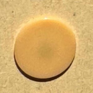 Vintage Dark Cream Flat Round Buttons - Set of 24 (1.25 cm / 0.5 in) - 1940s/1950s - Glossy Plastic Finish