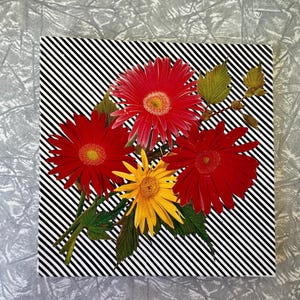 1970s Vintage Irish Linen Handkerchief Set – St. Patrick Brand – Floral Embroidery – Boxed Gift (Made in Ireland)