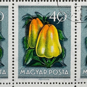 1986 Hungary Magyar Posta Bell Pepper Stamps – 25 Used 40f Sheet – Fruit Topical – Füle Design