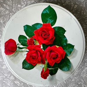 1970s Vintage weiße Blumendose - rote Rose Deckeldesign - 23 cm Durchmesser (9 &quot;) x 7,5 cm Höhe (3 &quot;)