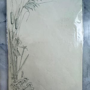 Juego de cartas vintage de Elgin Court, década de 1980: 10 hojas y sobres florales, impreso en Inglaterra, 20 x 29 cm (7,87 x 11,42 pulgadas)