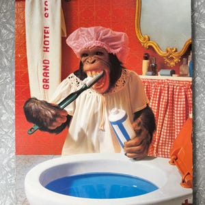Arte de baño vintage de monos, años 70 (40 × 58 cm)