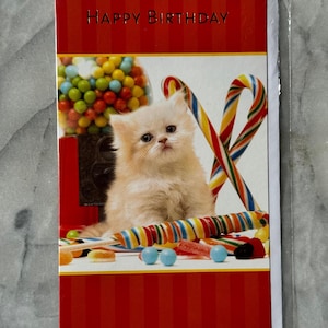Carte d'anniversaire vintage des années 1990 - inutilisée - chaton mignon et conception de bonbons - Apsley Biscay
