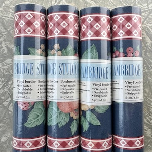 1990s Vintage Cambridge Studios Fruit & Heart Gingham Wallpaper Border – 457 cm (180 in) per roll – Made in England – Set of 4 rolls