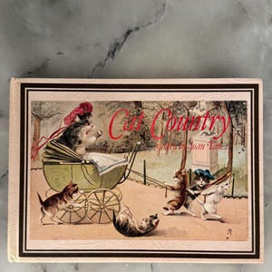 1979 Cat Country por Joan Tate (1979) - Capa dura ilustrada com cartões postais - Livro vintage
