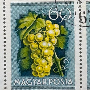 1986 Hungary Magyar Posta Grape Stamps – 25 Used 60f Sheet – Fruit Topical – Füle Design