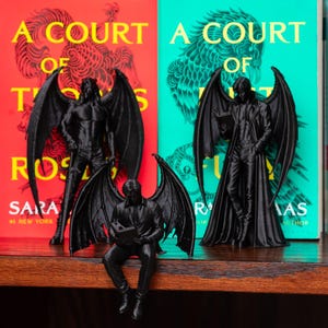 May include: Three black matte figurines of winged humanoid characters positioned in front of books. Two figures stand with large wings spread, while one smaller figure sits on the edge of a shelf reading a book. The figures have detailed wings.