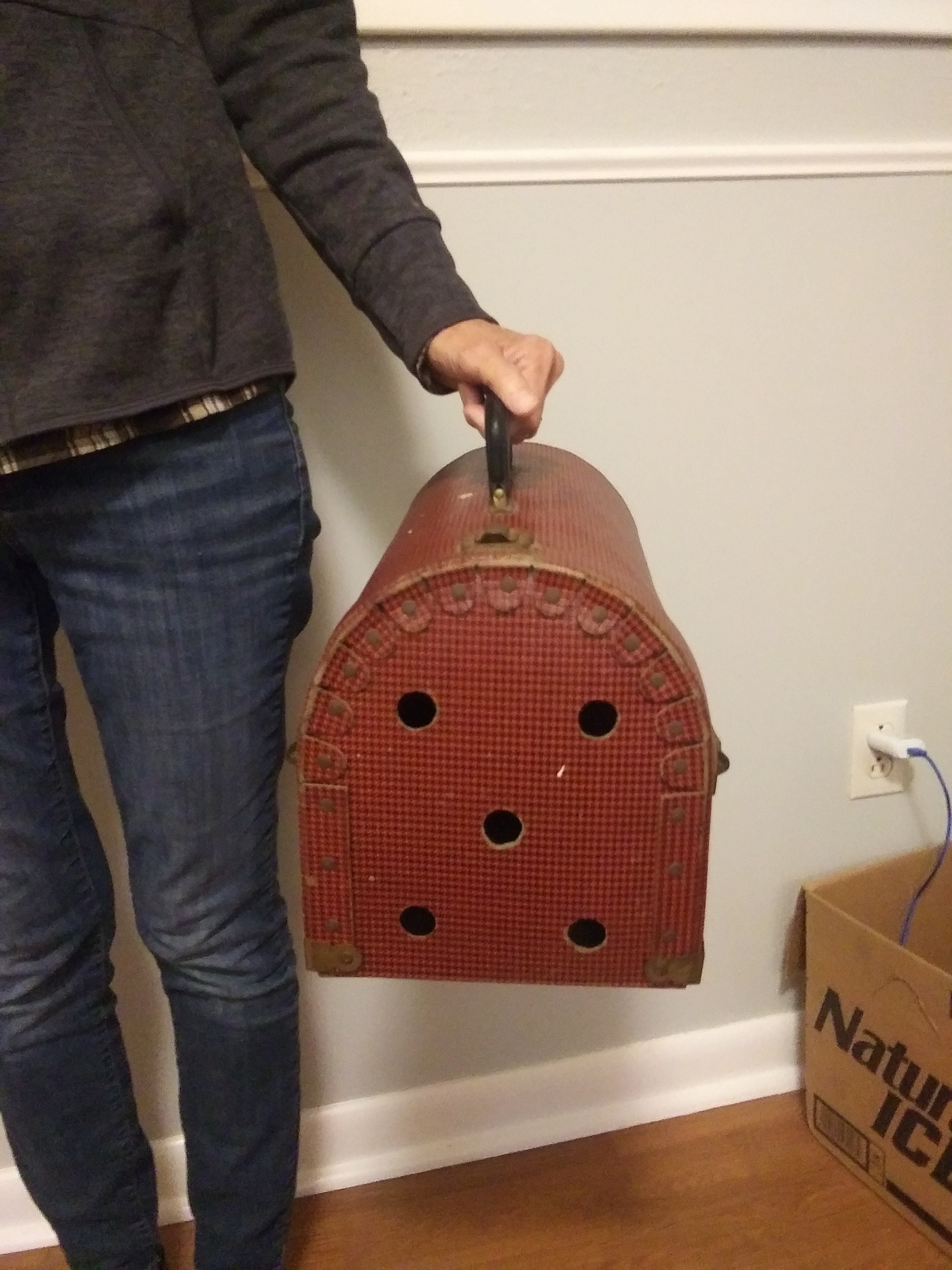 Vintage cat carrier 2025