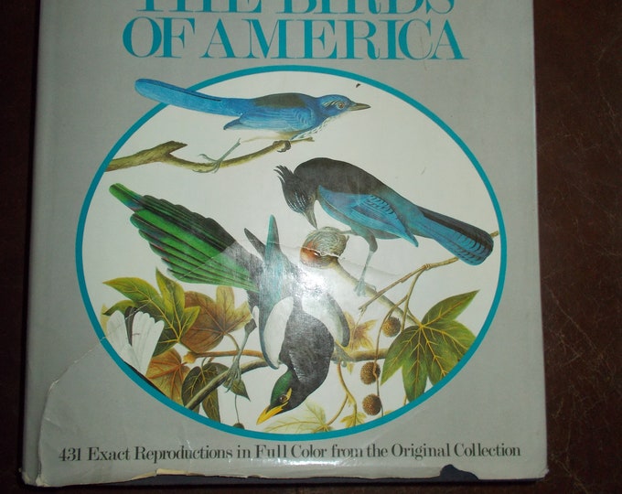 10 Old 1937 JOHN JAMES AUDUBON the Birds of America Book - Etsy