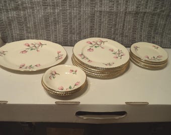 Antique Dinnerware Homer Laughlin Dogwood Liberty 16 Pieces Circa 50's