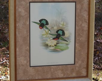 Framed Mid Century Still Life Lithograph D. Porinchak 