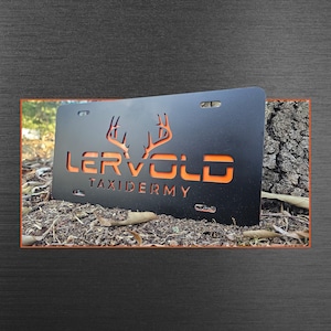 Custom Metal License Plate - Laser Cut Logo or Name with Color Backer - 6 x 12