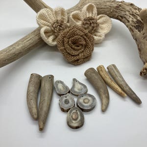 Deer Antler Pendants, Lot of 10, Miscellaneous Styles