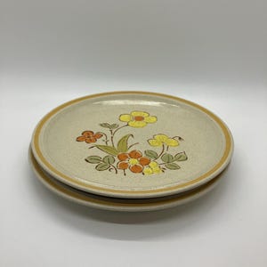 Hearthside Garden Festival Handpainted Sunshine Flowers Stoneware Plate, Japan, Set of 2