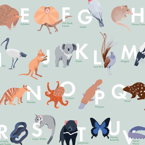 Australian Animal Alphabet Poster ABC Print Nursery Decor |