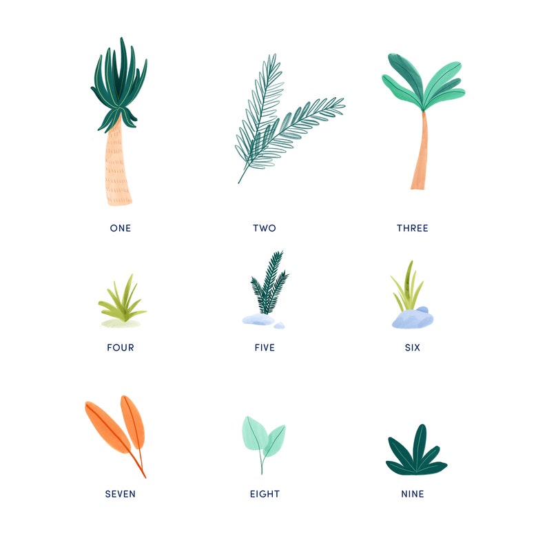 May include: Nine colorful illustrations of plants and foliage on a white background. The illustrations include palm trees, ferns, and various types of leaves. Each image is labeled with a number from one to nine.
