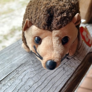 vintage pickles the Hedgehog Ty Beanie babies.