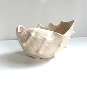 May include: A cream-colored ceramic bowl shaped like a seashell, featuring a textured exterior with raised ridges and pointed protrusions along the rim. The interior is smooth and hollow, with a glossy finish that reflects light across the surface.