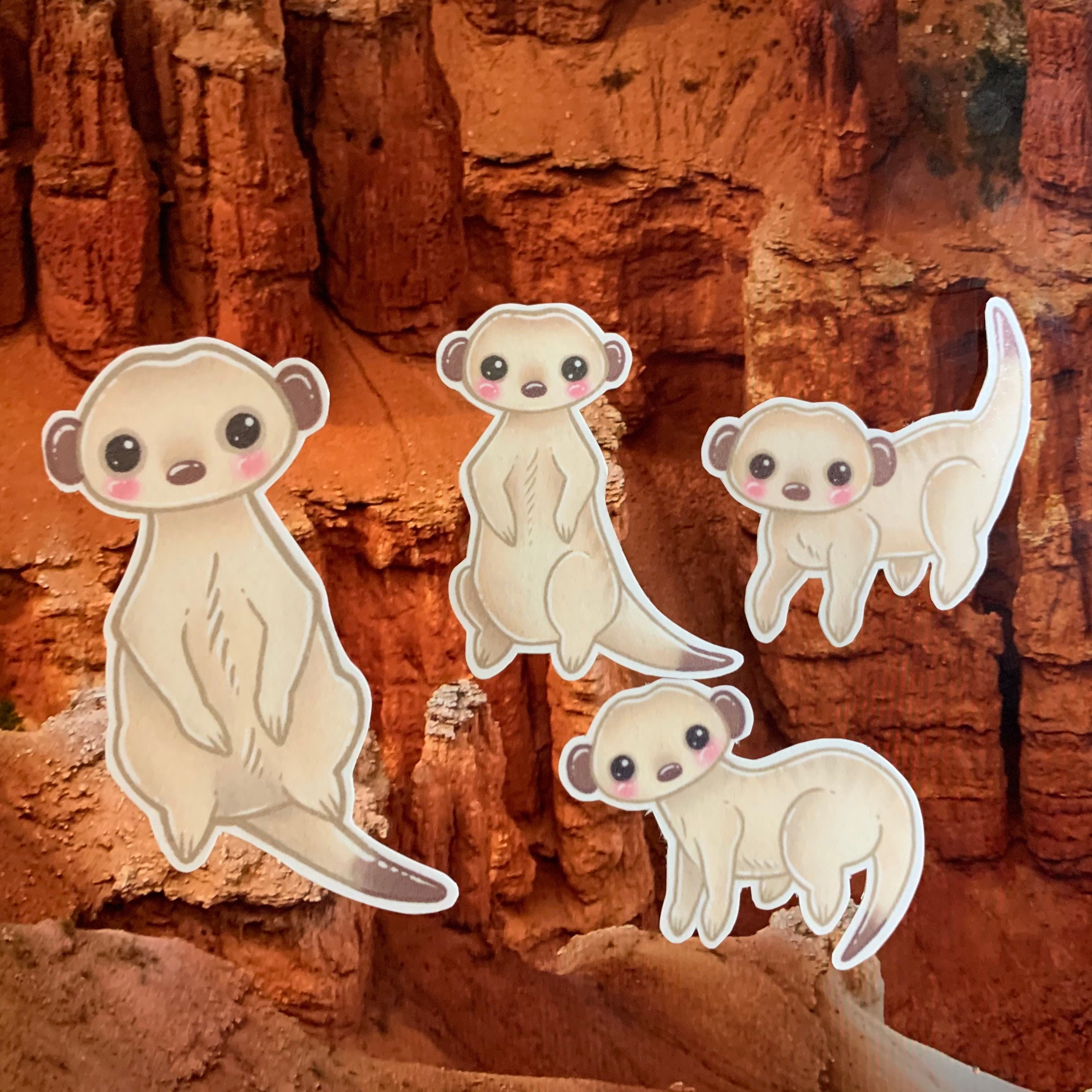 Malletkat for sale compared to CraigsList Only 3 left at 65