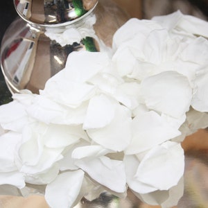 White Preserved Rose Petals: Wedding Confetti, Aisle Decor