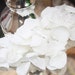see more listings in the Wedding confetti section