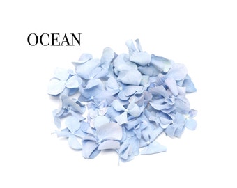 Freeze dried Blue wedding confetti hydrangea petals (Ocean)